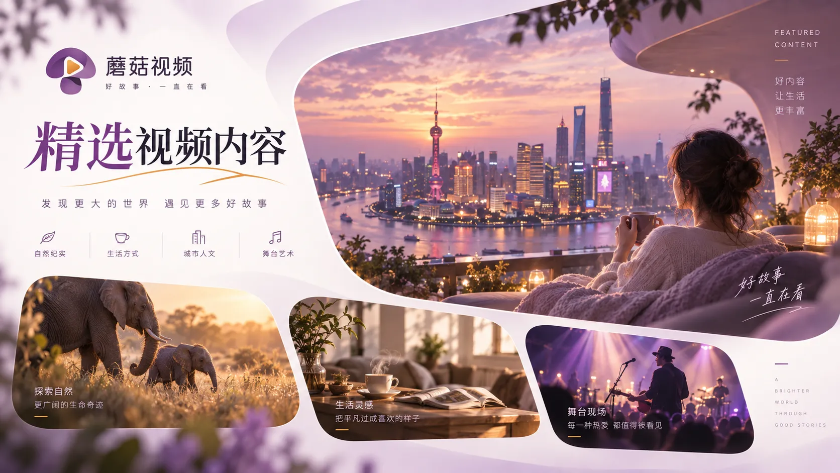 蘑菇视频夜间观看片单整理示意